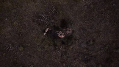 As the family share the meal... - Earth at Night in Color