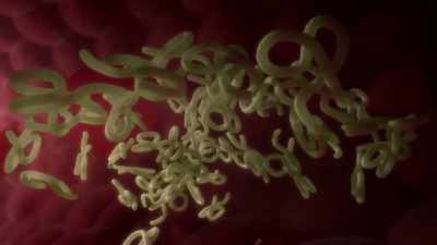 As the immune systems gain
the upper hand, - Human: The World Within