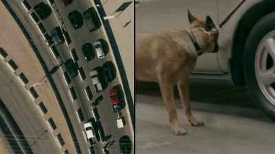 As the K‐9 units approach, - Trafficked with Mariana van Zeller