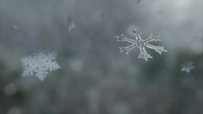 As the moist air rises,
it freezes... - Frozen Planet II
