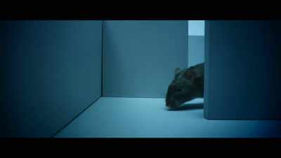 As the rat moves, it's creating - The Mandela Effect