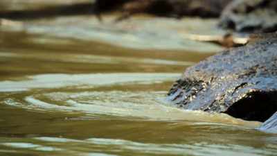 As the river rises, - Our Great National Parks