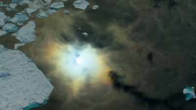 As the sea ice shrinks, - Our Planet