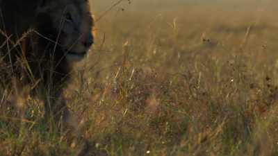 As the sun climbs higher everyday, - Dynasties