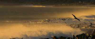 As the sun warms the beaches, - Our Universe