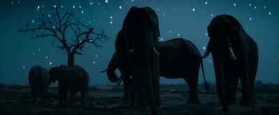 As the sunlight wanes, - Our Universe