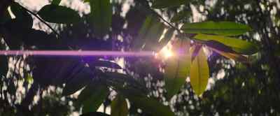 As the sunlight wanes, - Our Universe