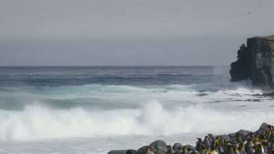 'As the water gets colder, - A Year on Planet Earth