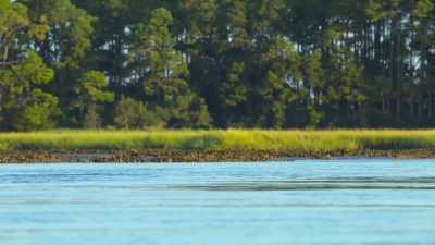 As the watery world shrinks, - The Secret Lives of Animals