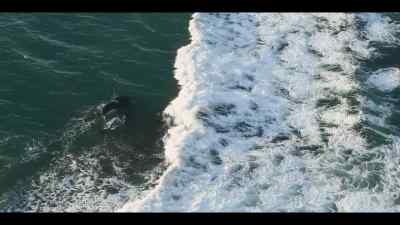 As their instructor, she guides
her young team to a very special place. - Our Oceans