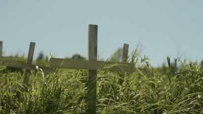  As those unmarked graves
 have been discovered, - Black Life: Untold Stories