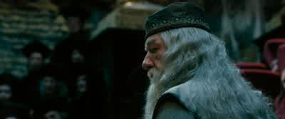 ...as though all the happiness had gone from the world. - Harry Potter and the Order of the Phoenix