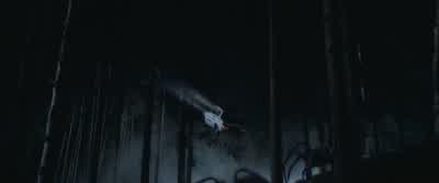 As to that, most unfortunate.No one regrets more than I. - Harry Potter and the Chamber of Secrets