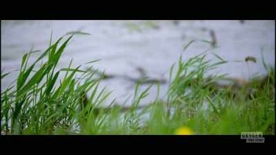  - As tragic as these
 eight murders are, - The Pike County Murders: A Family Massacre
