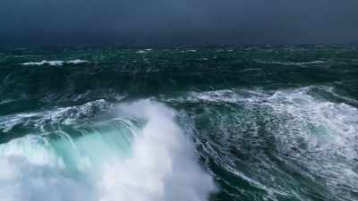 As they travel across the sea, - Blue Planet II