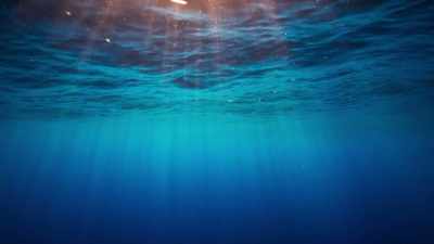 As it turned out, - Blue Planet II