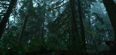 AS WE PROCESSED THE SCENE, - See