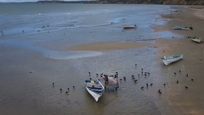 'As well as catching fish, - A Year on Planet Earth