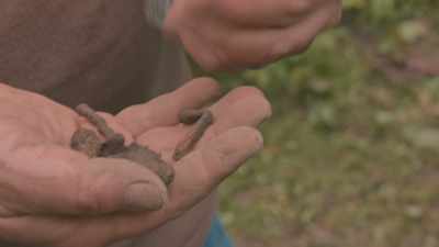 As we went down and we
started examining an area, - Neat: The Story of Bourbon