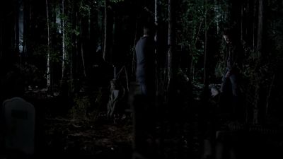 As you wish, darling. - The Vampire Diaries