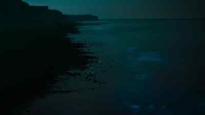 As with most cephalopods, - Prehistoric Planet
