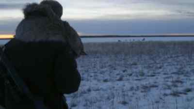 Ashley: WHAT IS IT? - The Last Alaskans