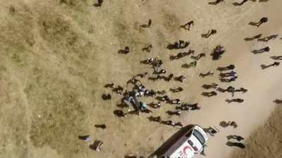 Ask yourself the question, "If the
Mexicans stood at the border and marched, - Israelism