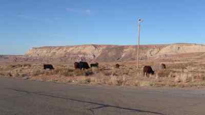 Asking Seth to film
this project became so - American Highway