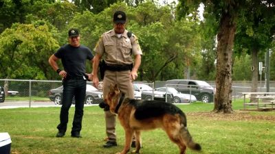 Asseyez-vous. - CSI: Crime Scene Investigation