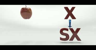 ... assigns the physical object SX, - The End of Quantum Reality