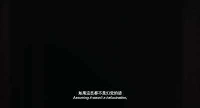Assuming it wasn't a hallucination... - Long Day's Journey into Night