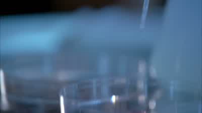 Astrid: I just got off the phone with Olivia. - Fringe