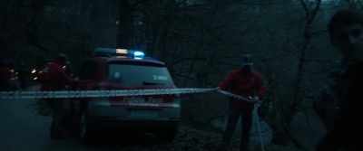 At 11:00 p.m. her parents
reported she hadn't come home. - The Invisible Guardian