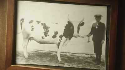 At 16, he bought
his first cow for $20. - Six Degrees with Mike Rowe
