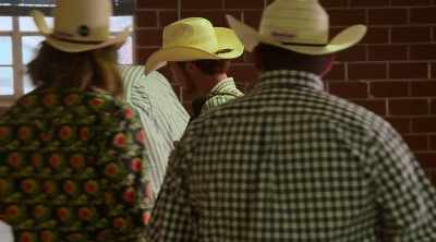 At a rodeo, you draw your horse randomly, - How to Be a Cowboy