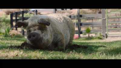 At age seven,
she's not too old or too young. - The Biggest Little Farm: The Return
