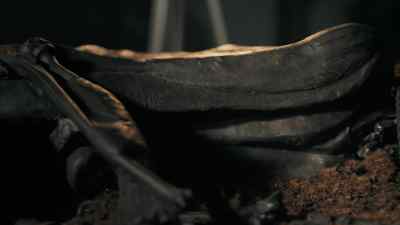 At autopsy,
the head is removed - Ancient Bodies: Secrets Revealed
