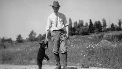 At Blue Mountain,
Baynes expanded his work-- - The American Buffalo