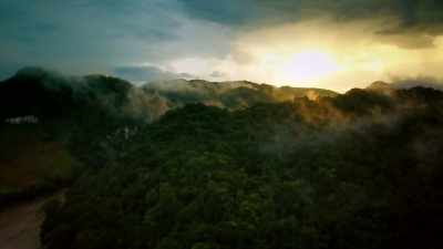 At both sites, - Lost Treasures of the Maya