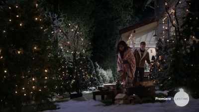 "At Christmas there are many
beautiful sights, - Christmas Lost and Found