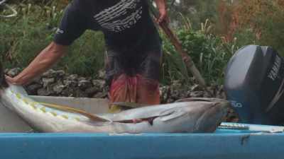  At first, I started
 slowly catching fish. - Deadliest Catch: Bloodline