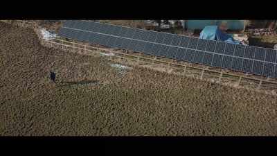 At first, we installed a
small number of solar panels - 73 Cows