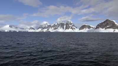 "At first,
just a few humpbacks arrive..." - Secrets of the Whales