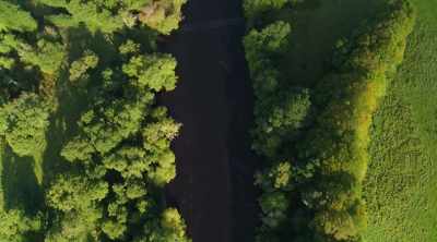 At first light, Loch Insh
looks like it's from another world. - World's Most Scenic River Journeys