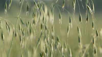 At first, this relationship
created challenges of its own. - The Green Planet