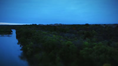 At first, it seems like
the trail has gone cold. - How I Caught My Killer