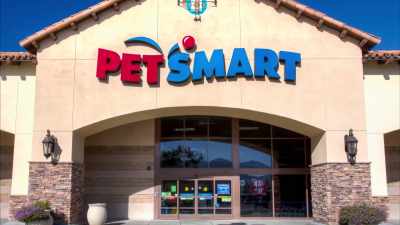 At first you think,
"I'll just stop by the store, - Pet Fooled