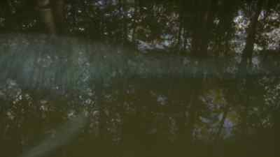 At high tide, - Prehistoric Planet