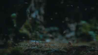 At last, a little treat. - Prehistoric Planet