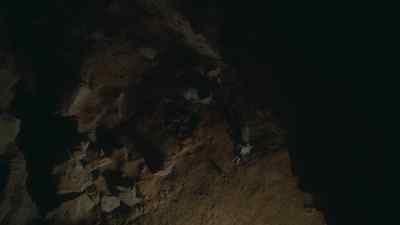 At last, the herd reaches
the place they need to visit. - Prehistoric Planet